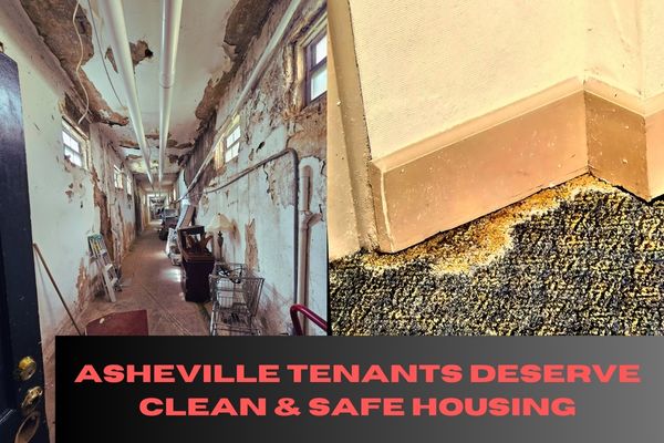 Evergreen Ridge Residents Go Public With Massive Mold Complaint